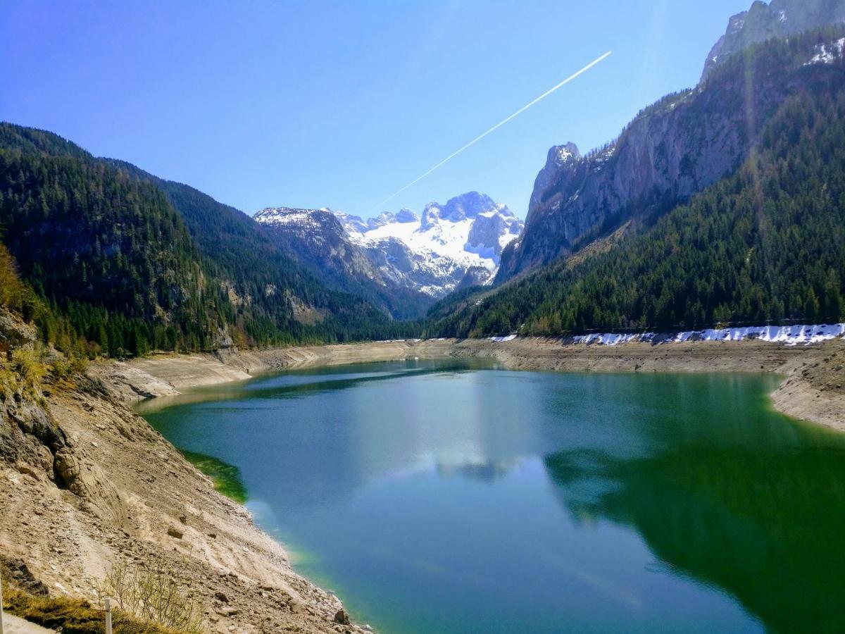 Pension Edelweiss Top 25 Gosau Exterior photo