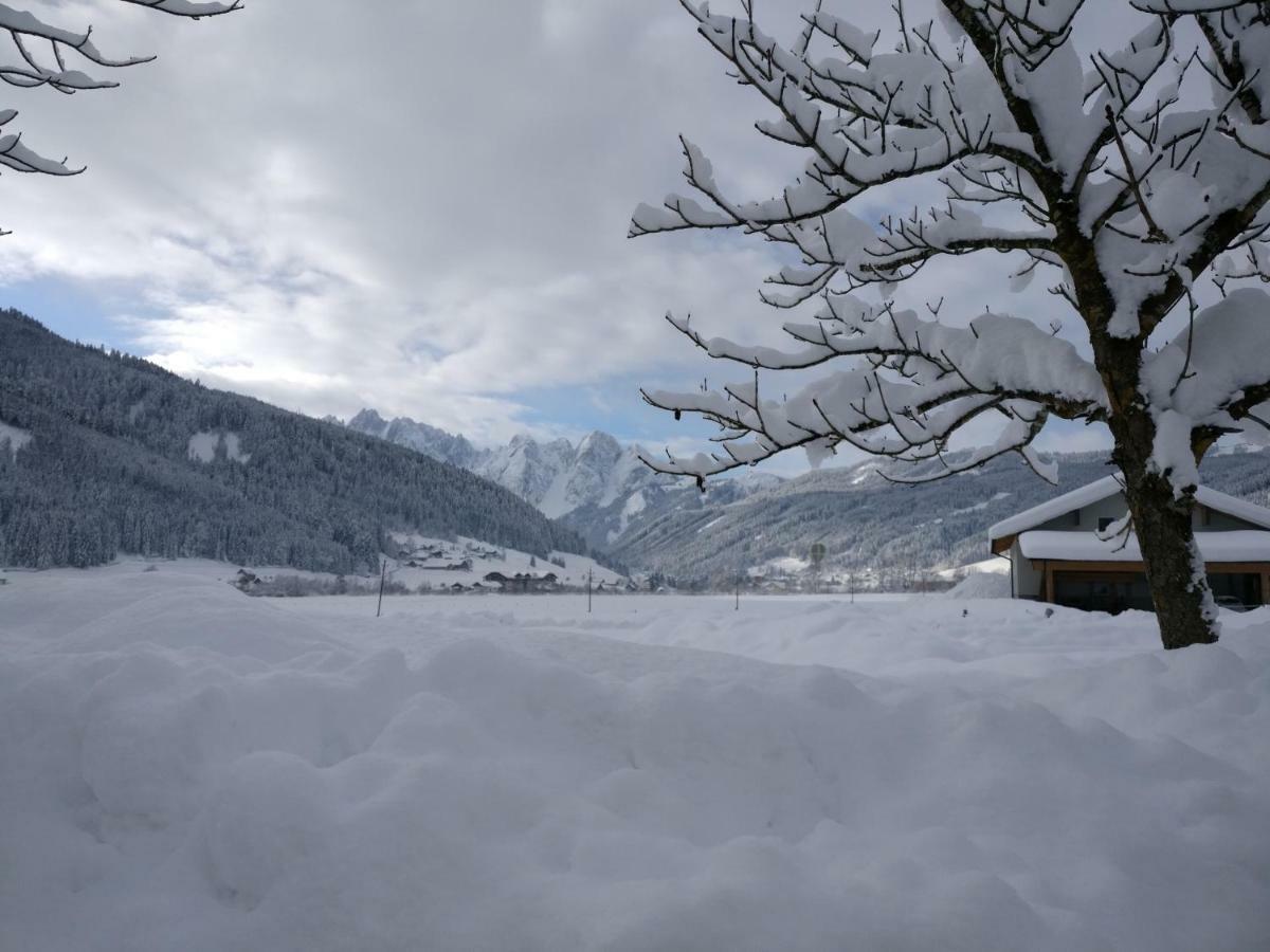 Pension Edelweiss Top 25 Gosau Exterior photo