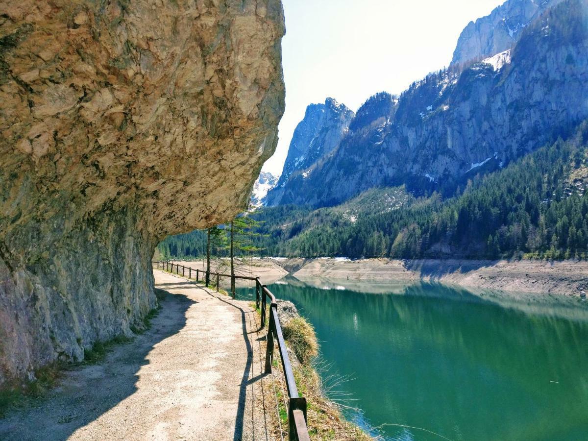 Pension Edelweiss Top 25 Gosau Exterior photo